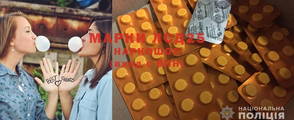 сатива Новокубанск